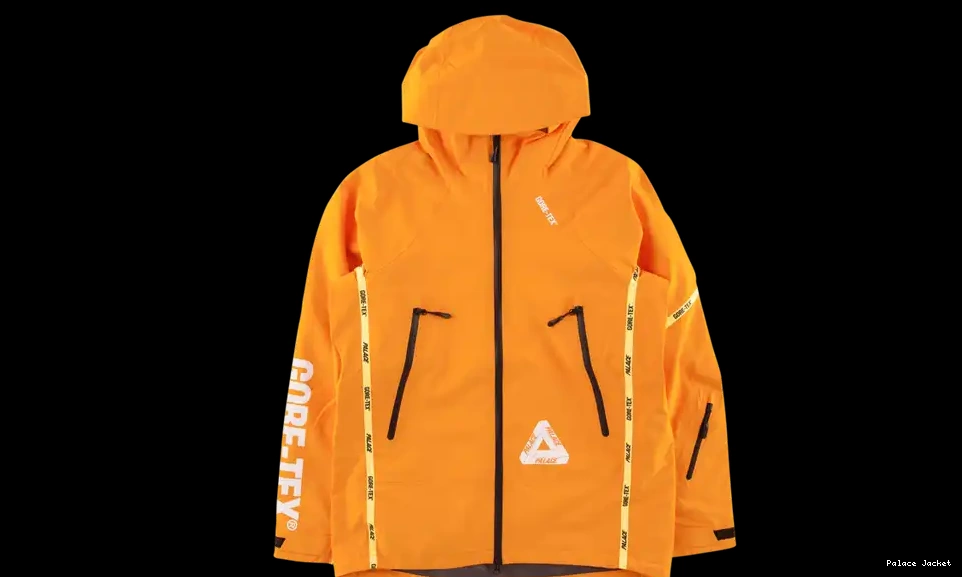 Palace Palex Gore-Tex Jacket 0603